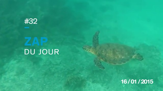 ZAP DU JOUR #32 : Saltos en voiture / Crash d'un avion R-C dans l'océan / Un chien loyal / Sauvetage à la dernière seconde /