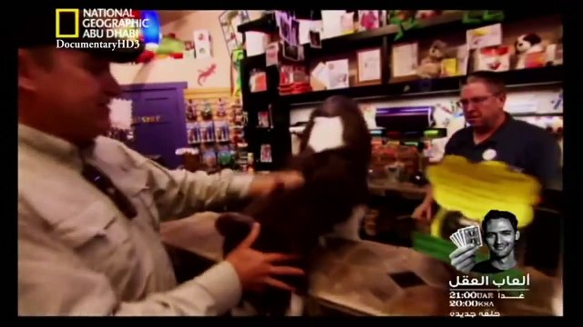 ‫وثائقي - مواجهات حتمية - وحوش الحديقة الخلفية HD