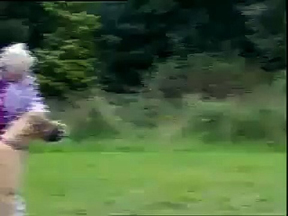 Funny Videos