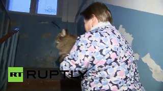 Un chat sauve du froid un bébé abandonné (Russie) : Dogedog.fr