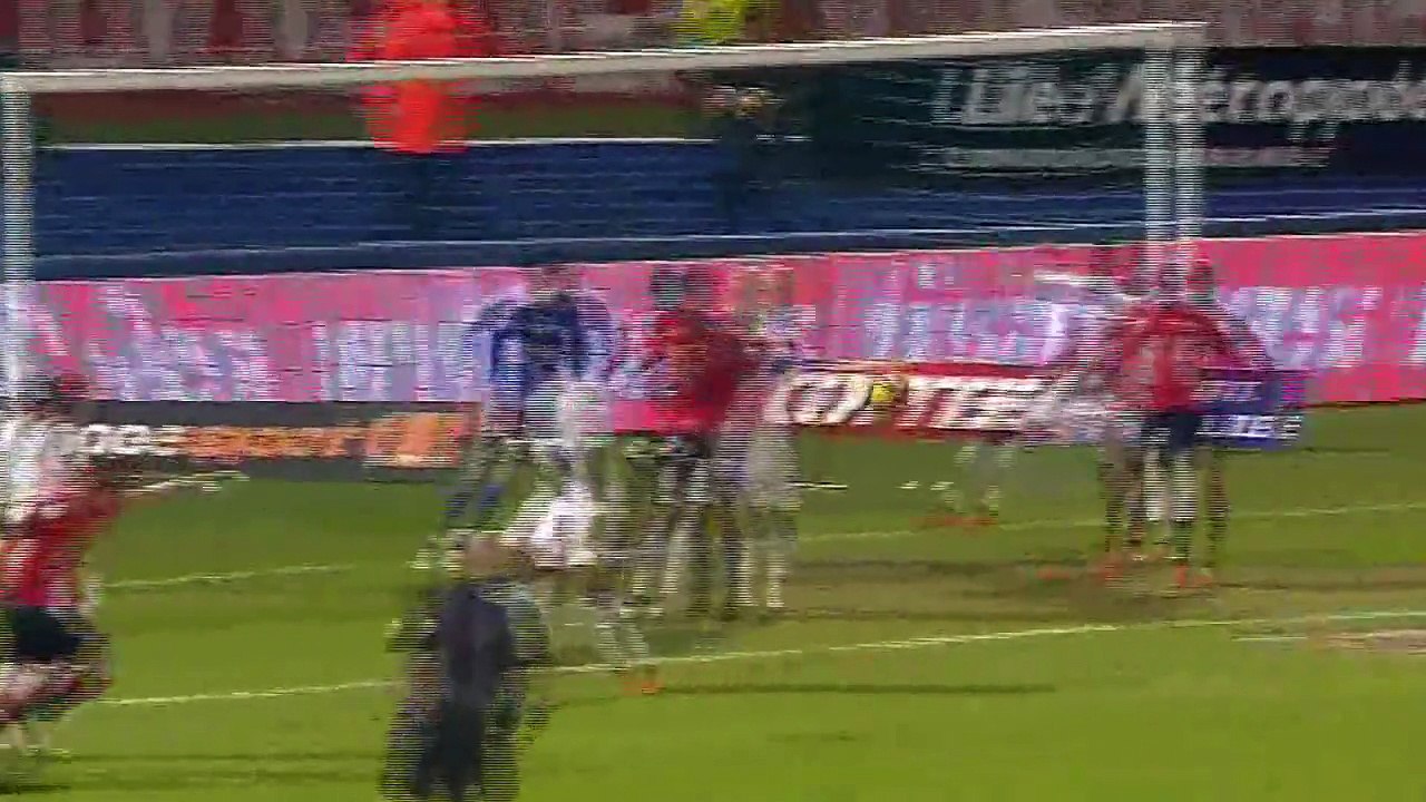 LOSC - Lyon 1-1 25ème journée (2010-2011)