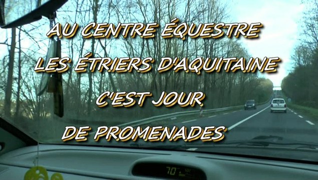 LES JOURNEES DE MICHOU64 W-D.D. - 14 JANVIER 2015 - PAU - N° 2 - C'EST JOUR DE PROMENADES AUX ETRIERS D'AQUITAINE A ASSAT.