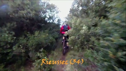 Chataignes dans les conquets