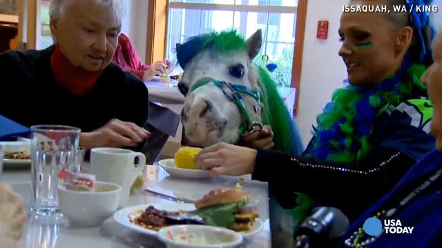 Meet the Seattle Seahawks good luck charm