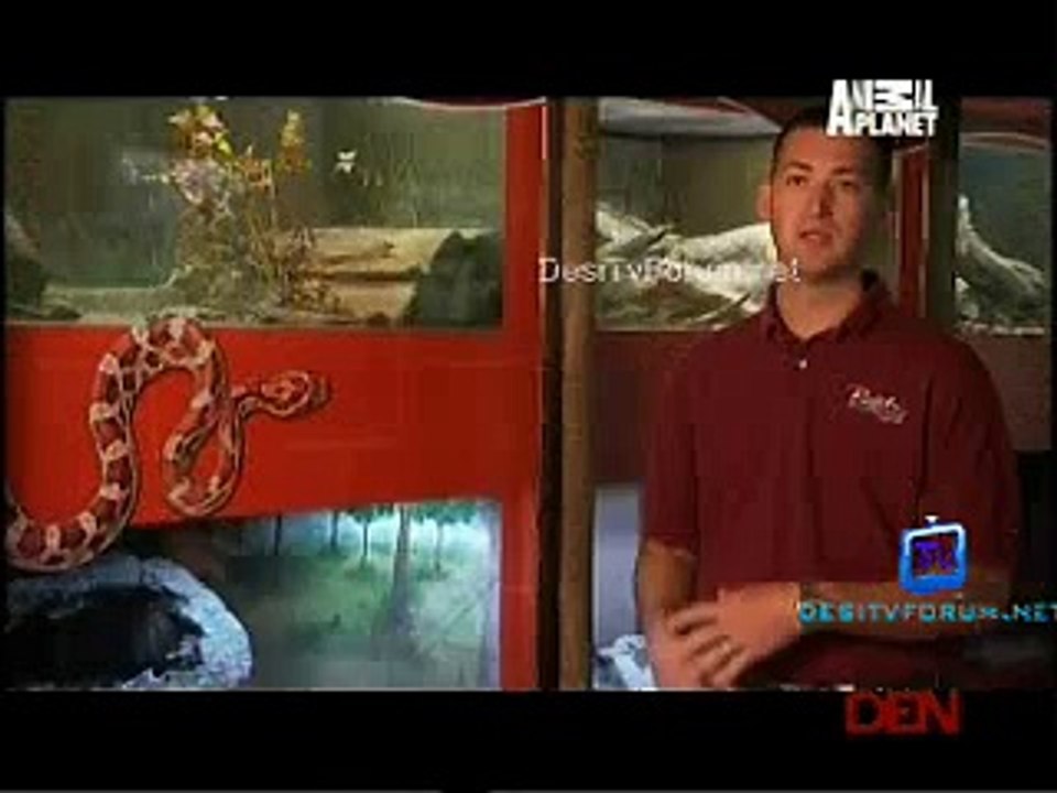 Animal Planet Most Outrageous 16th January 2015 Video Watch pt2