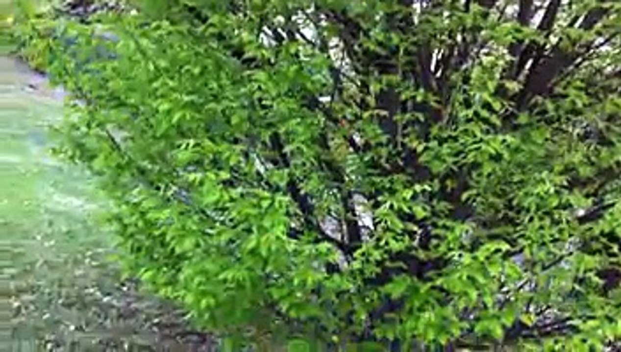 testinavi2