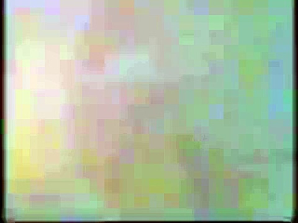 PBS ID 2007