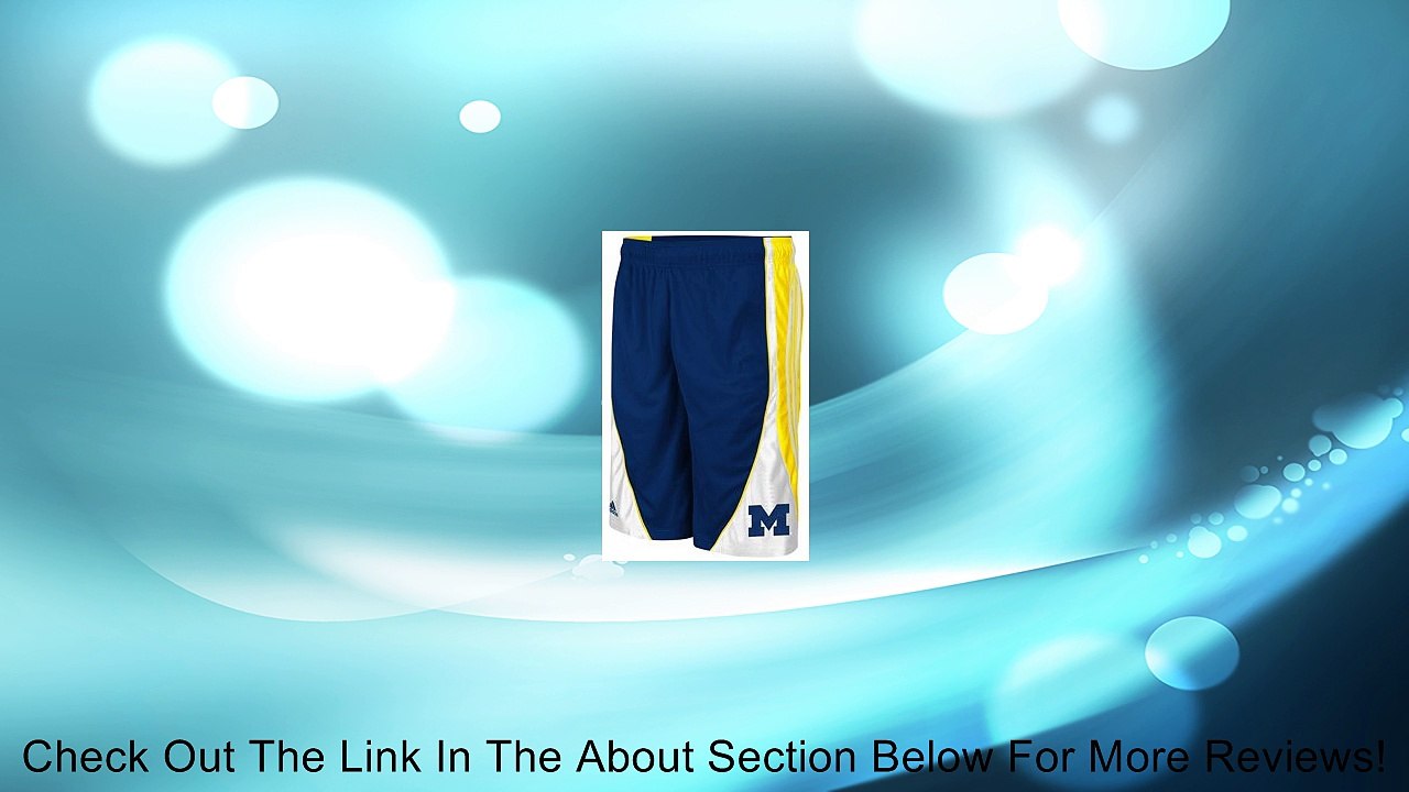 adidas Michigan Wolverines Navy Blacktop Shorts (X-Large) Review