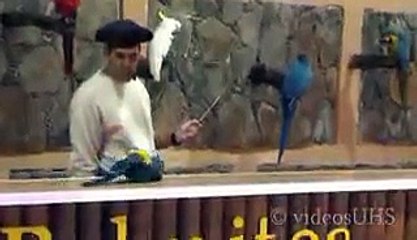 VID-20140714-WA0001.mp4