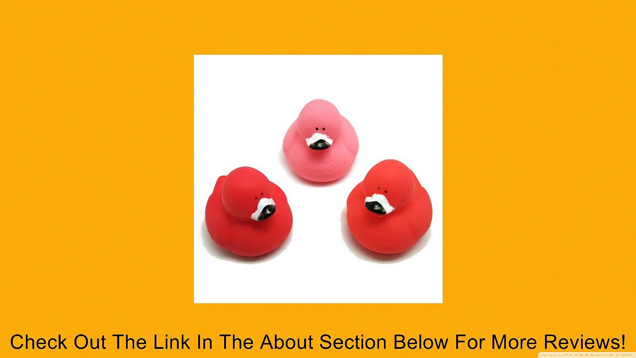 12 ct - Pink Flamingo Rubber Ducks Review