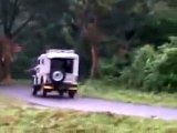 Funny Videos Indian elephant attack in Kerala India Tezabi Totay