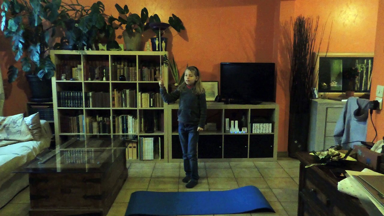 assiette chinoise 2/2