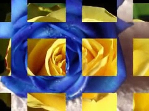 Hasan Dursun - Bülbüllerin Ötüşü