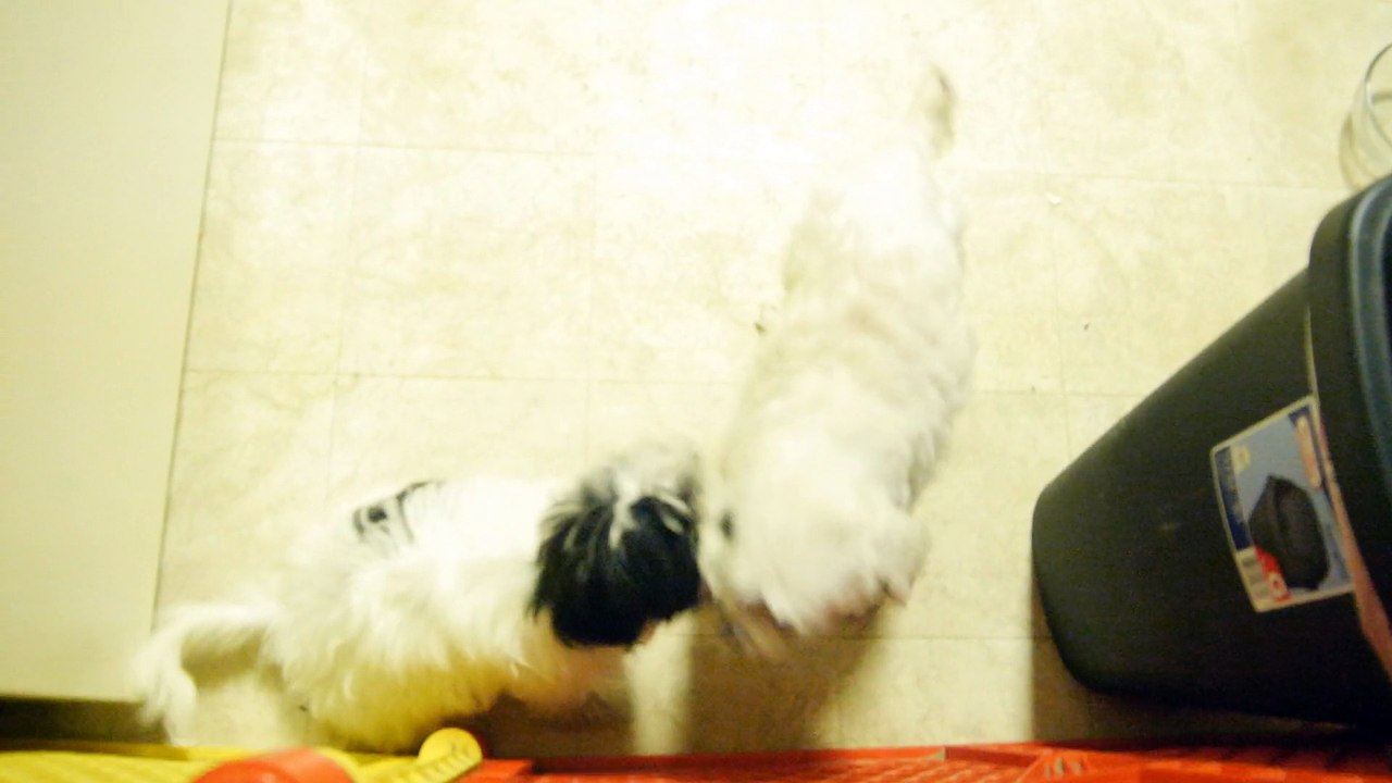 My new camera - first video test of the Panasonic Lumix DMC-GH3