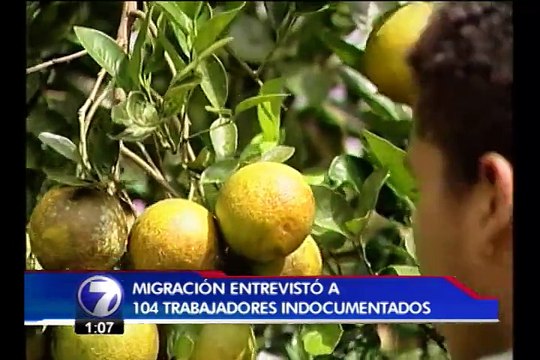 Migración denuncia explotación laboral de más de 600 nicaragüenses en frontera