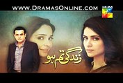 Zindaghi Tum Ho Promo Episode 6 on Hum Tv  16th January 2015