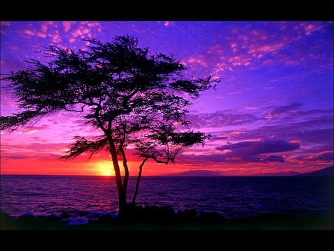 Talla 2XLC vs. Sean Tyas - Heart to Heart (Tyas Mix)