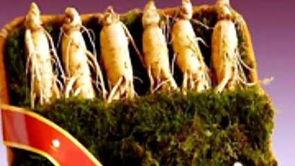 Các dạng trà nhân sâm Hàn Quốc có thể bạn chưa biết