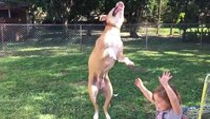 That moment when you regret your life choices