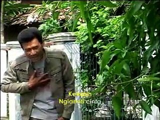 LARA PIKIRAN papae anis @ lagu tarling