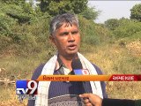 Crop damaged by canal breach in Khoraj, farmers demand compensation - Tv9 Gujarati