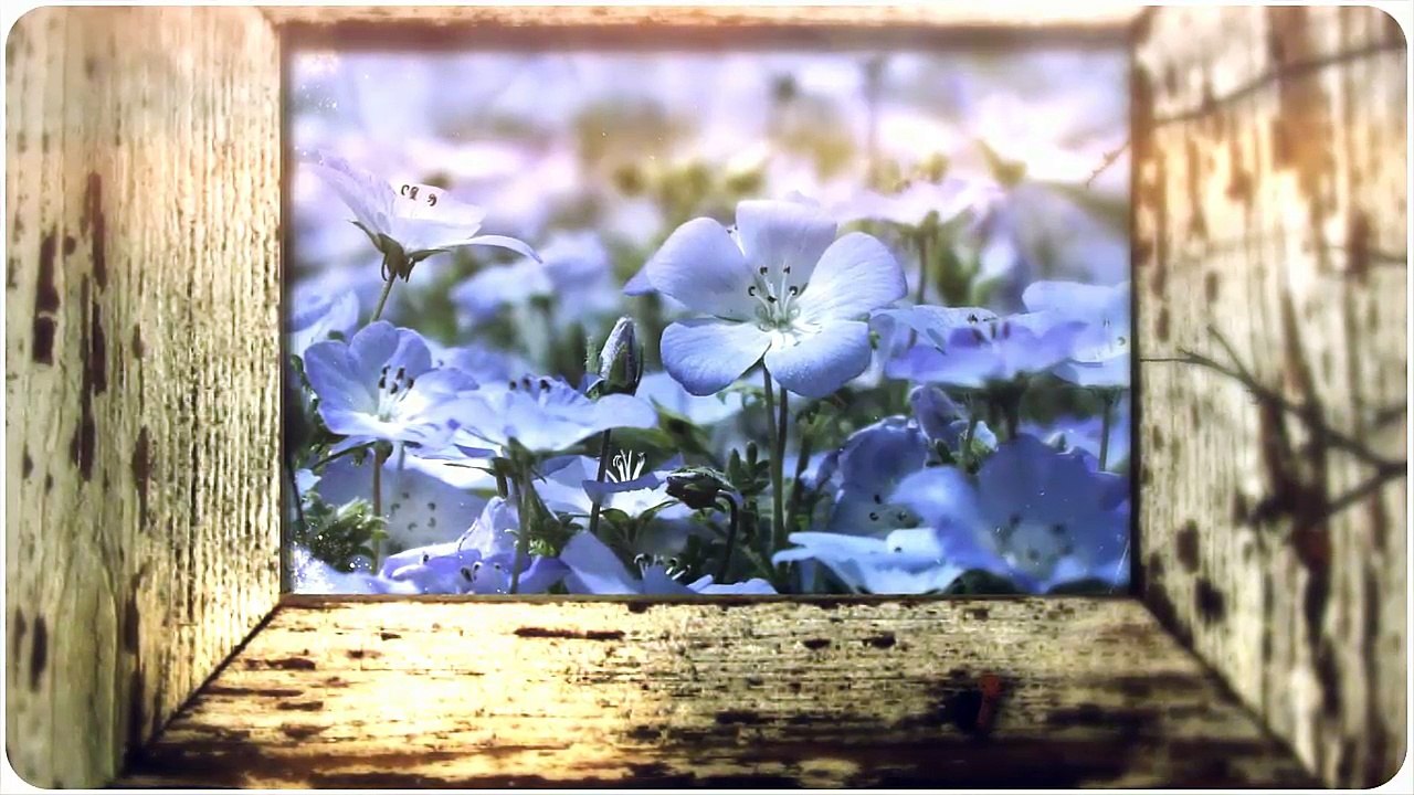 Рецепты здоровья  Польза  льняного масла для здоровья