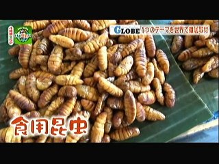 いま、世界は、BS朝日、１２月2014(2/4)