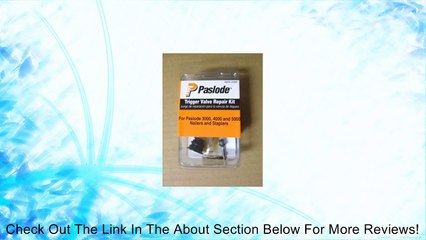 Paslode Triggr Valve Repair Kit 219224 Review