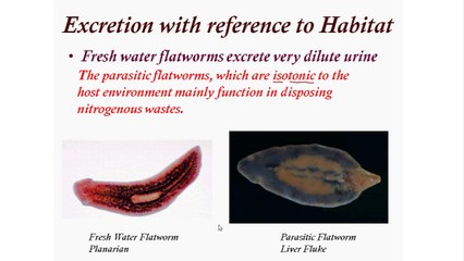 Nature of Excretory Products In Relation to Habitats