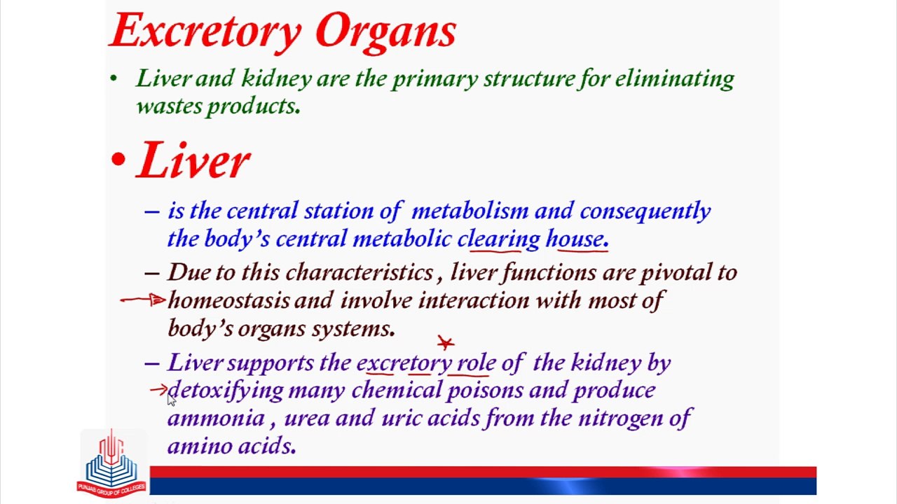 bio-ch#15-Lasson-22