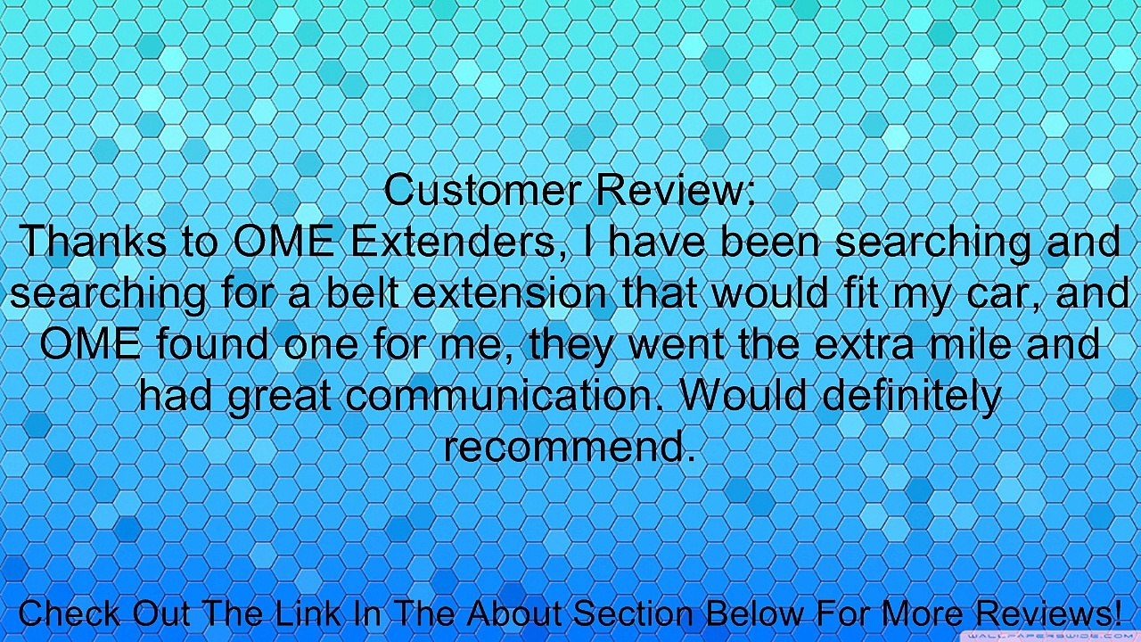 (2 PACK) Universal 7" Seatbelt Extension - Type B - 1" WIDE metal tonque Review