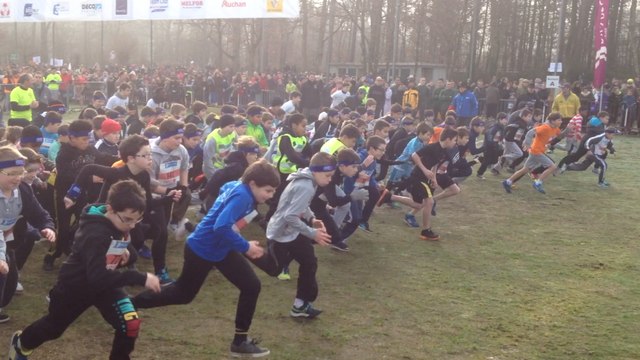 Les enfants au cross Ouest-France 2015