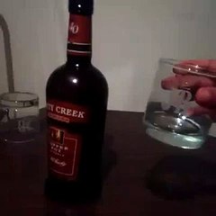 Daru can turn anyone Desi - Punjabi Vines