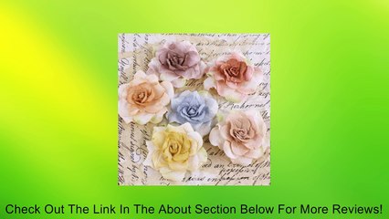 Pankita Rose Handmade Paper Flowers 1.5" 6/Pkg-Winter Review