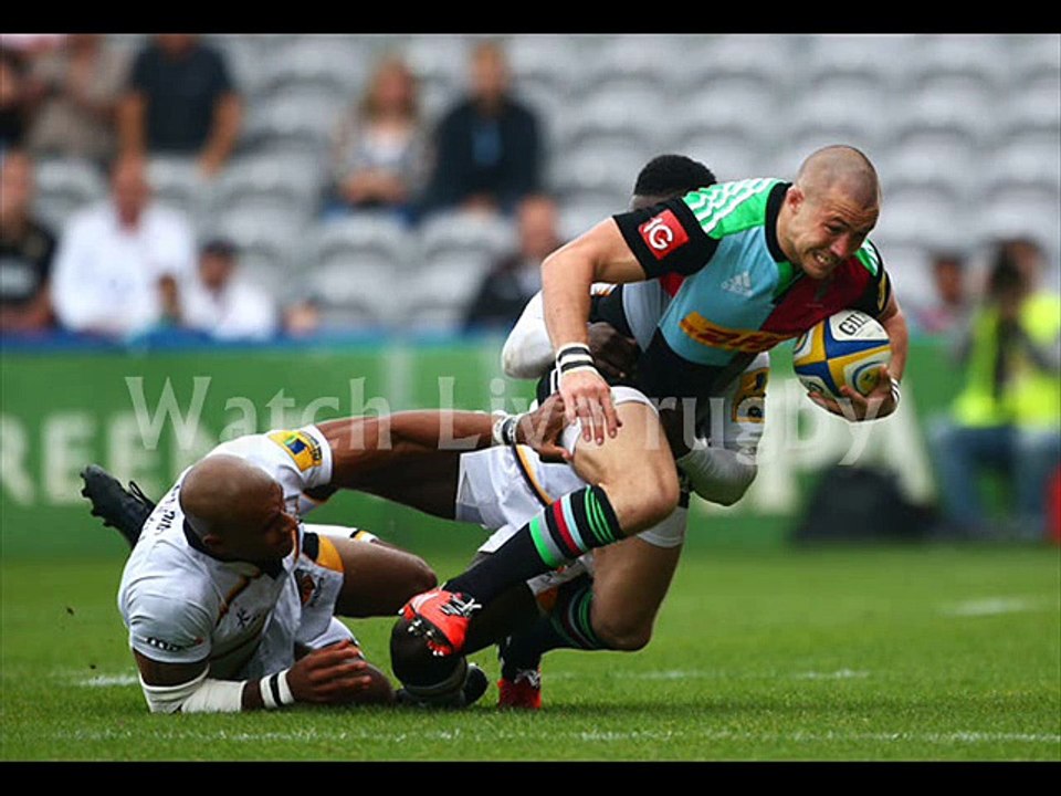 watch Harlequins vs Wasps 17 jan 2015 live