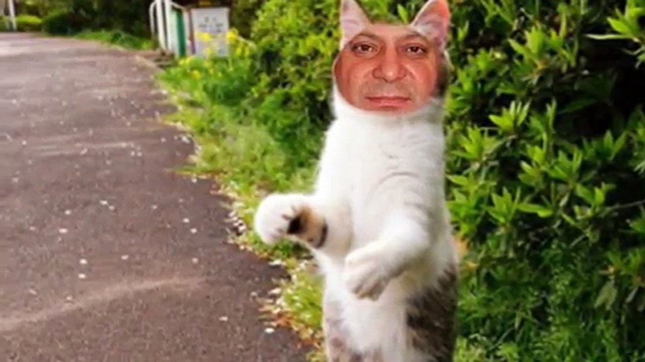 Nawaz Sharif Hate Video Funny