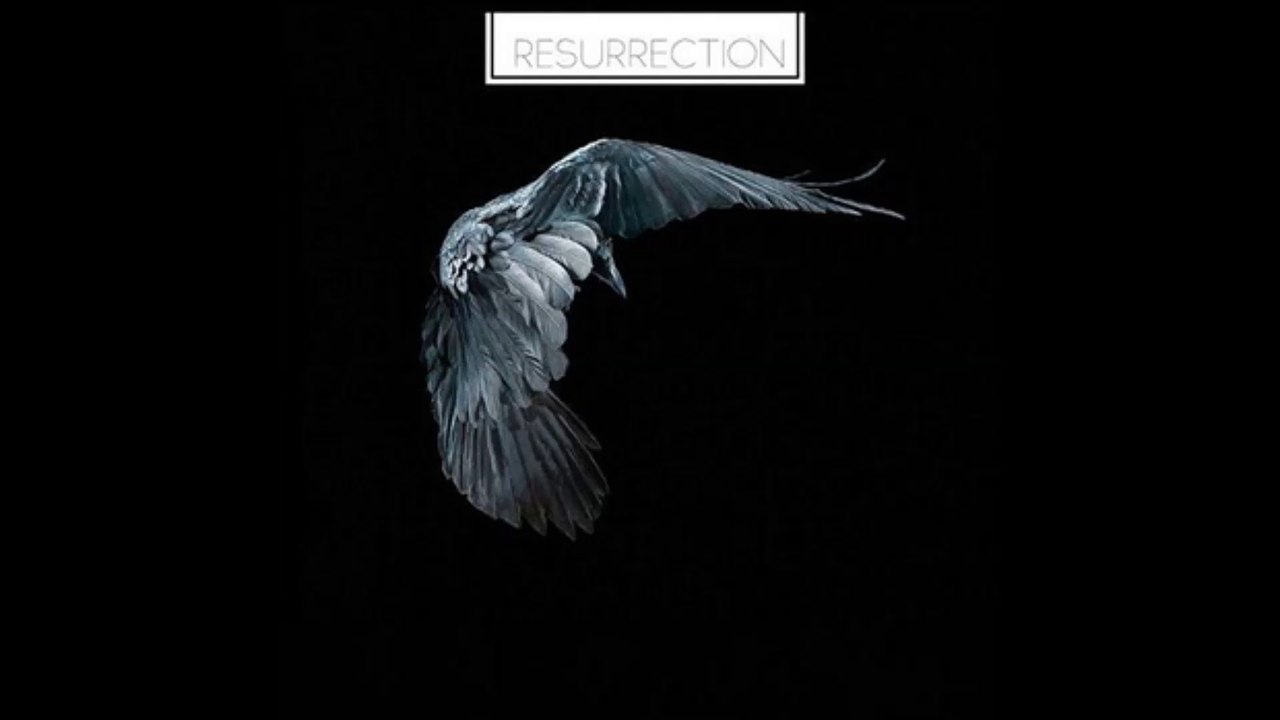 POSITION PARALLELE - Silence et Grésillement