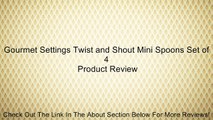 Gourmet Settings Twist and Shout Mini Spoons Set of 4 Review