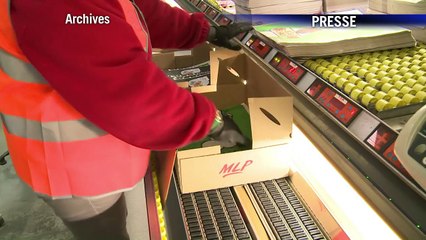 AFP - Le JT, 1ère édition du samedi 17 janvier