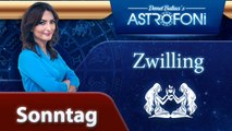 Das tägliche Horoskop des Sternzeichens Zwilling, heute am (18 Januar 2015)