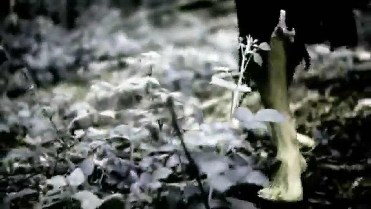 Architects - Buried At Sea