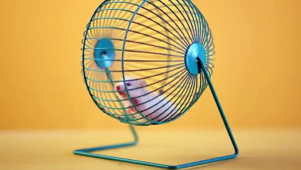 Berksan ft. Hande Yener - Haberi Var Mı?