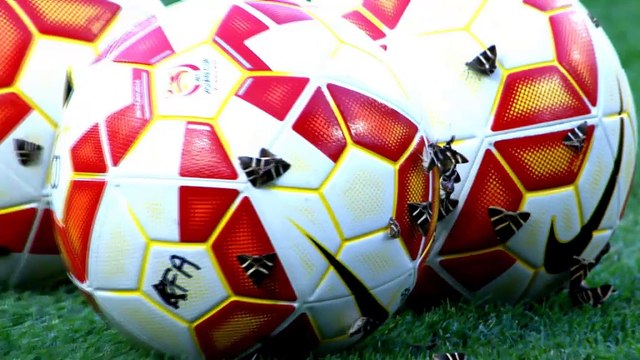 Swarm of moths invades pitch during Australia-South Korea