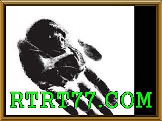 스포츠배당＞＞＞ http://come67.oz.st ＜＜샤넬벳토토프로토스포츠토토추천