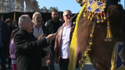İzmir - Selçuk'ta Deve Güreşleri Festivali Coşkuyla Başladı