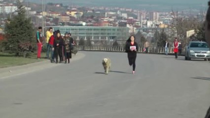Koşunun Temposuna Dayanamayınca Fenalık Geçirdiler