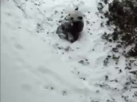 Hafta sonları ruh halimSee translation