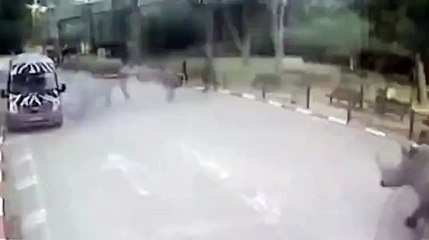 Trois rhinocéros s'enfuient d'un zoo en Israël