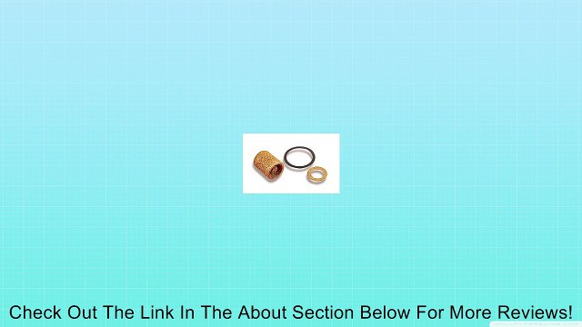 Holley 162-500 Brass Carburetor Fuel Inlet Filter - Pack of 2 Review