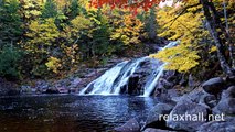 Instrumental Piano Music for Relaxing - Calming Music with Nature Sounds of Rain and Birds